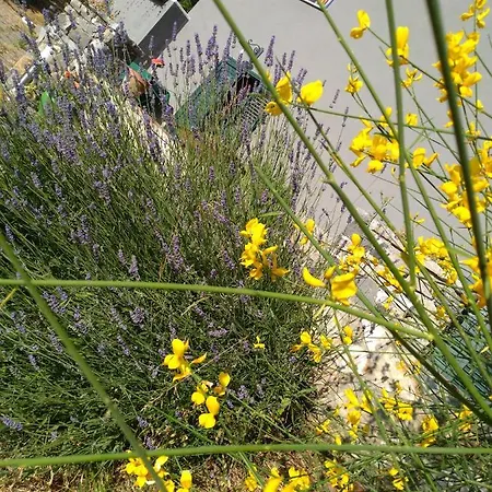 La Dei Cavalieri 別荘 *