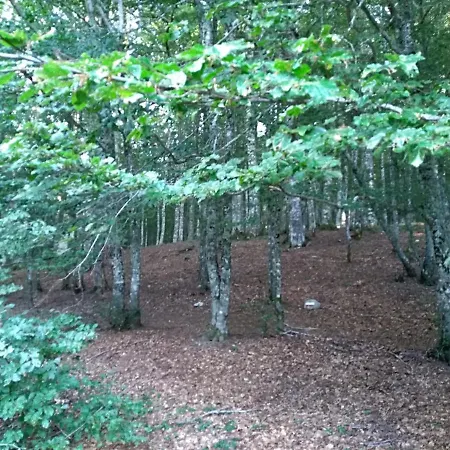 La Dei Cavalieri Ferienhaus Mormanno