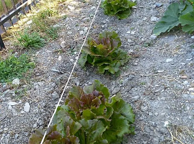 La Dei Cavalieri Mormanno