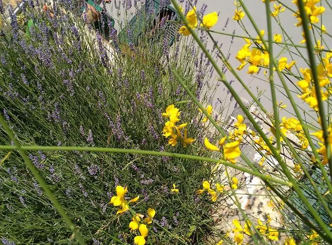 La Dei Cavalieri Casa de Férias *