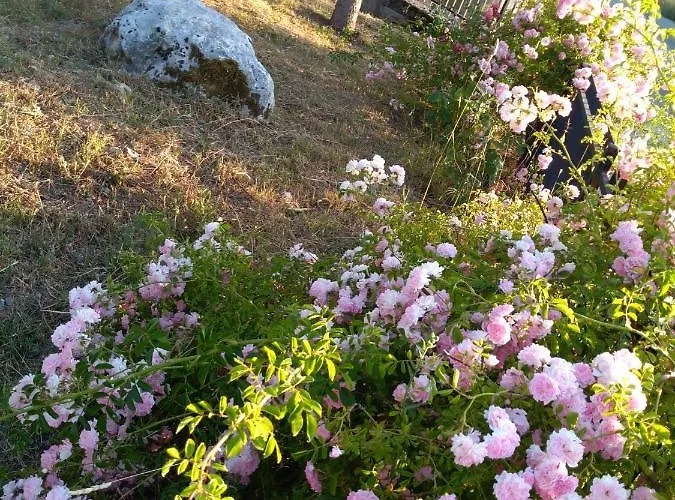 Casa de Férias La Dei Cavalieri