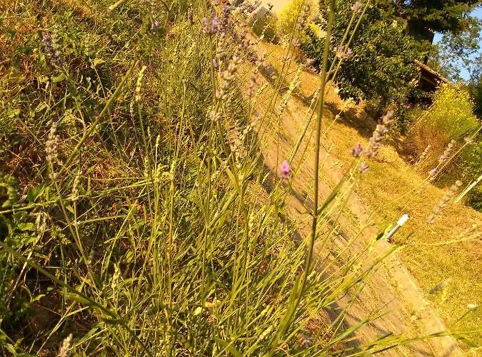 Holiday home La Dei Cavalieri Mormanno