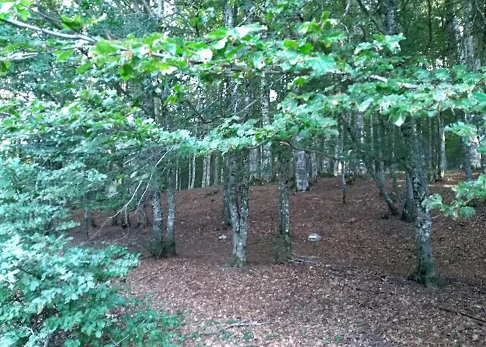 La Dei Cavalieri Casa de Férias Mormanno